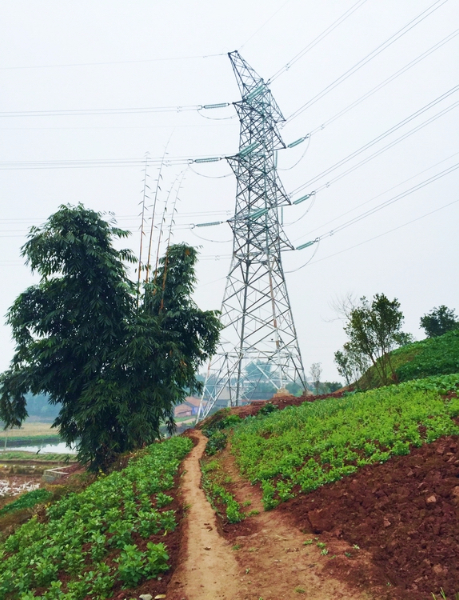 自貢仙市220千伏輸變電工程-線路.jpg